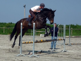  Promoción del caballo